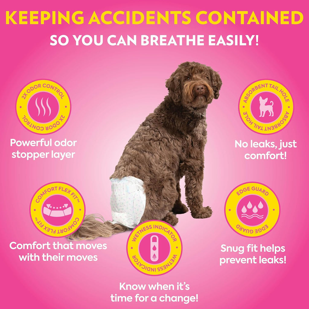 Petcare Disposable Dog Diapers Female, Potty Training, Dog Diapers, Female Doggie in Heat, Puppy Training, Incontinence, Puppy Essentials, Adjustable Fasteners, 18”- 25” Waist (M/L, 96Ct)