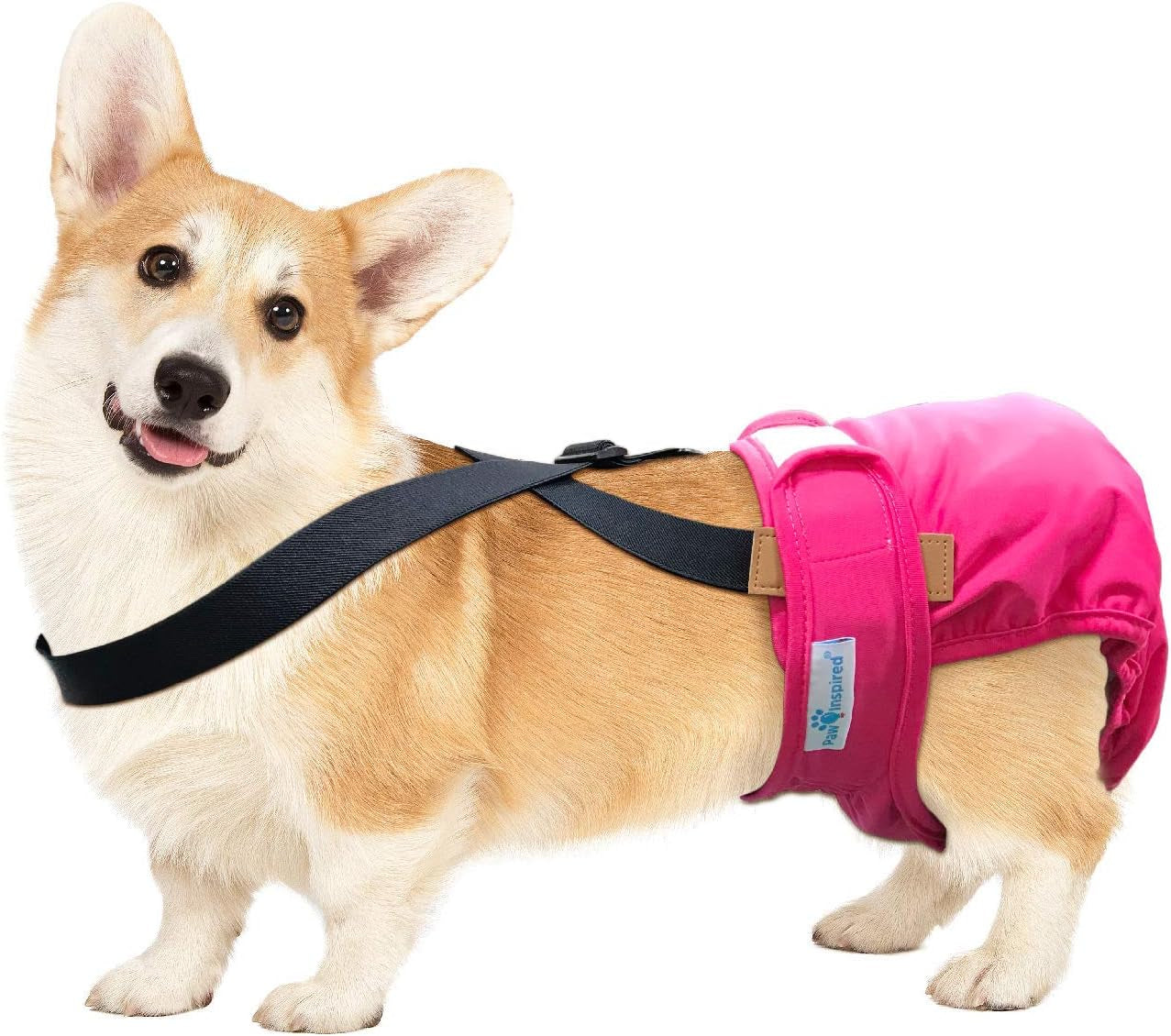 Dog Diaper Suspenders with Velcro Fasteners | Stretchy Adjustable Suspenders for Female and Male Disposable and Washable Diapers | Fits Small, Medium and Large Size Pets (S/M, Black)