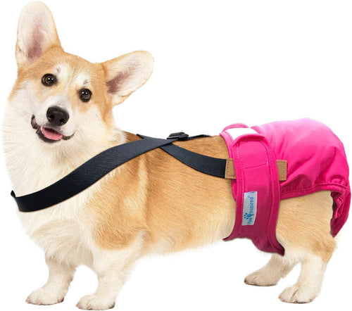 Dog Diaper Suspenders with Velcro Fasteners | Stretchy Adjustable Suspenders for Female and Male Disposable and Washable Diapers | Fits Small, Medium and Large Size Pets (S/M, Black)