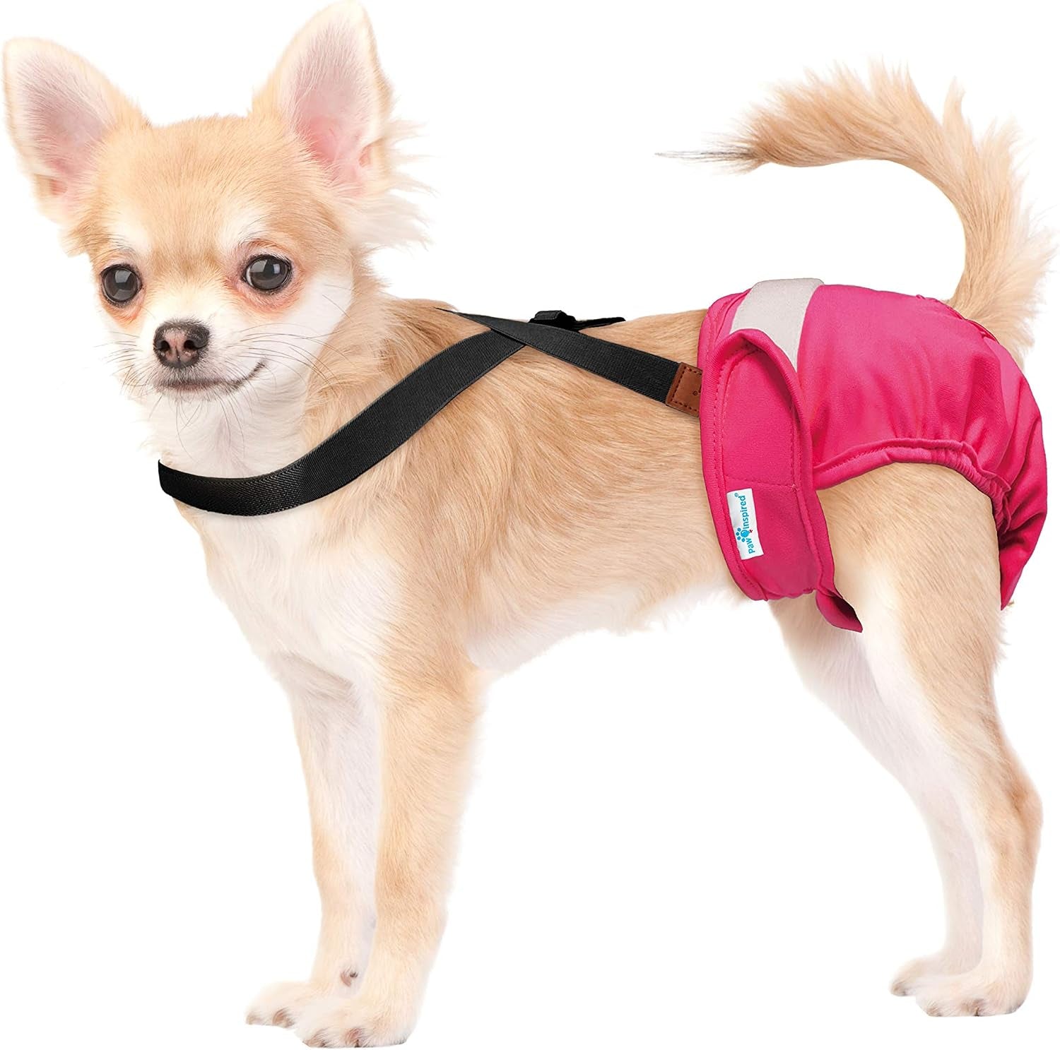 Dog Diaper Suspenders with Velcro Fasteners | Stretchy Adjustable Suspenders for Female and Male Disposable and Washable Diapers | Fits Small, Medium and Large Size Pets (XS/S, Black)