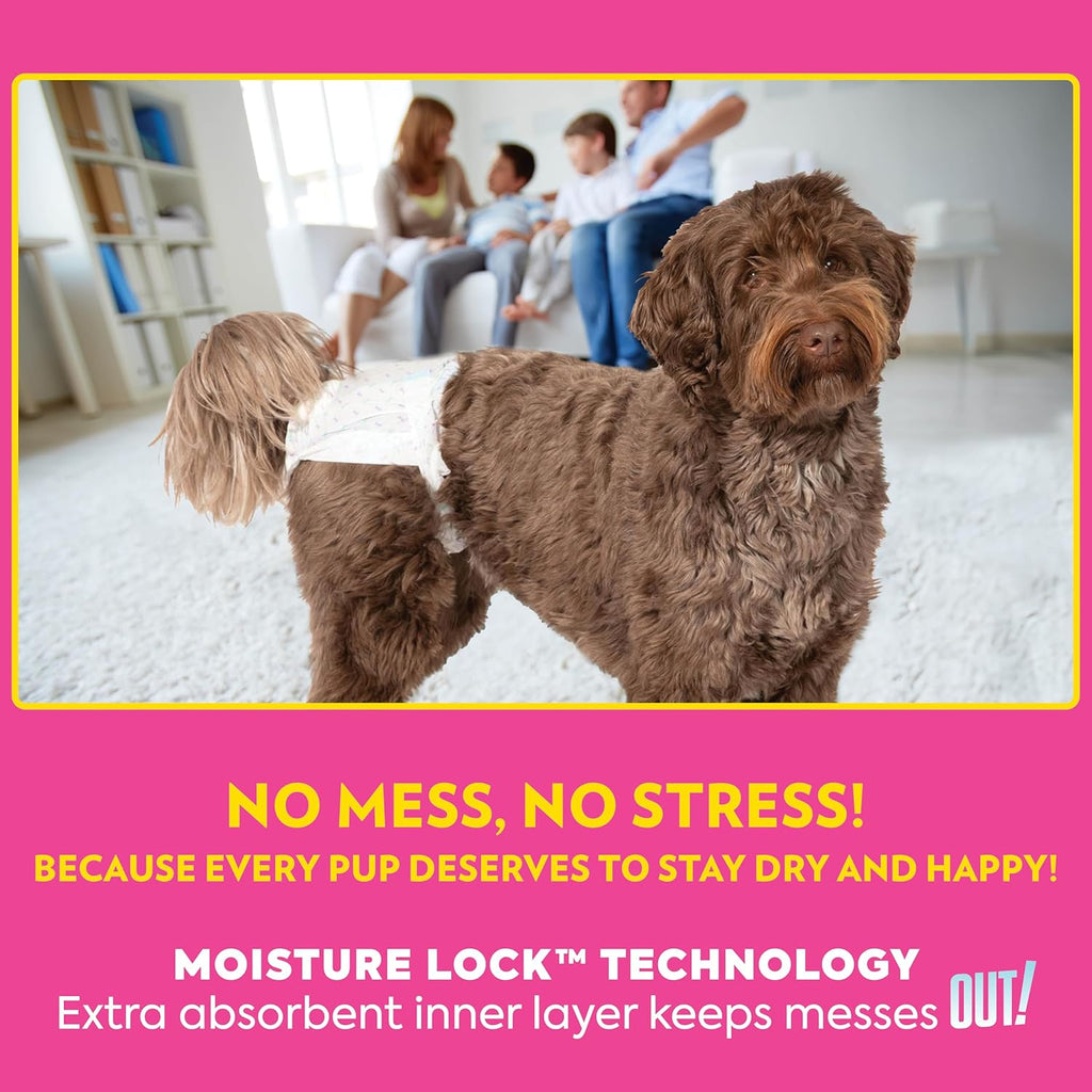 Petcare Disposable Dog Diapers Female, Potty Training, Dog Diapers, Female Doggie in Heat, Puppy Training, Incontinence, Puppy Essentials, Adjustable Fasteners, 18”- 25” Waist (M/L, 96Ct)