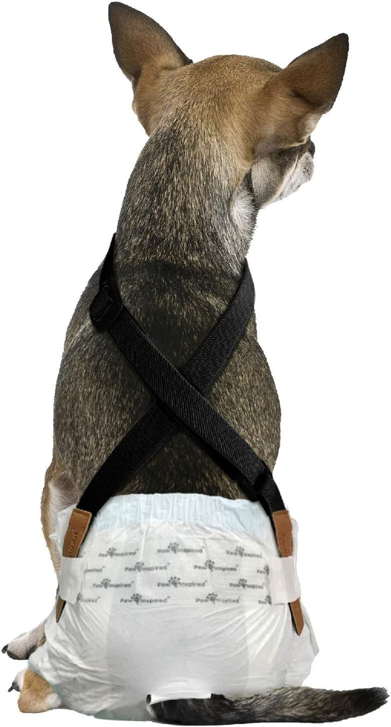 Dog Diaper Suspenders with Velcro Fasteners | Stretchy Adjustable Suspenders for Female and Male Disposable and Washable Diapers | Fits Small, Medium and Large Size Pets (XS/S, Black)