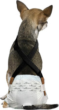 Dog Diaper Suspenders with Velcro Fasteners | Stretchy Adjustable Suspenders for Female and Male Disposable and Washable Diapers | Fits Small, Medium and Large Size Pets (XS/S, Black)