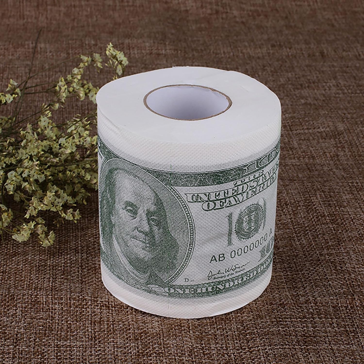 Money Toilet Paper 100 Dollar Bill Printed Gag Gift 2-Ply Funny Toilet Paper Roll, Money Printed Novelty Gift Idea, Pranks & Surprises Bathroom Decor