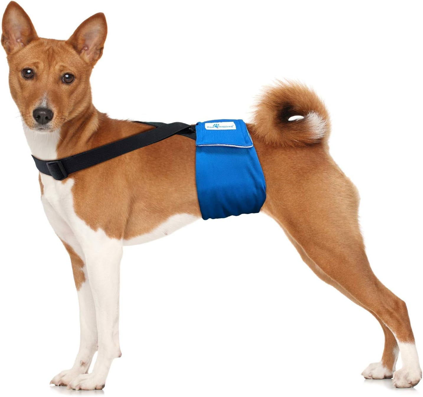 Dog Diaper Suspenders with Velcro Fasteners | Stretchy Adjustable Suspenders for Female and Male Disposable and Washable Diapers | Fits Small, Medium and Large Size Pets (S/M, Black)