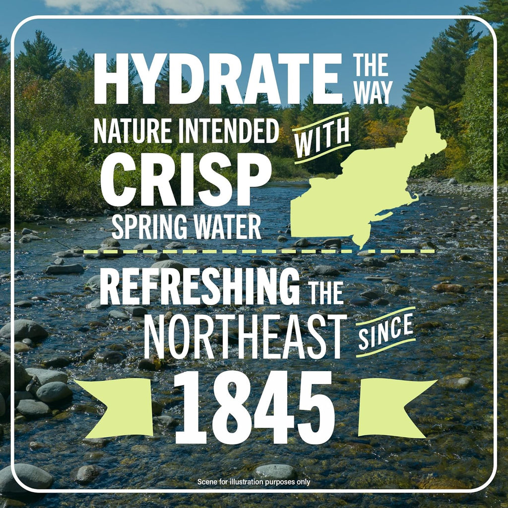 Maine Spring Water Bottles, 2.5 Gallon Jug – Still Bottled Water with Naturally Occurring Minerals for Taste
