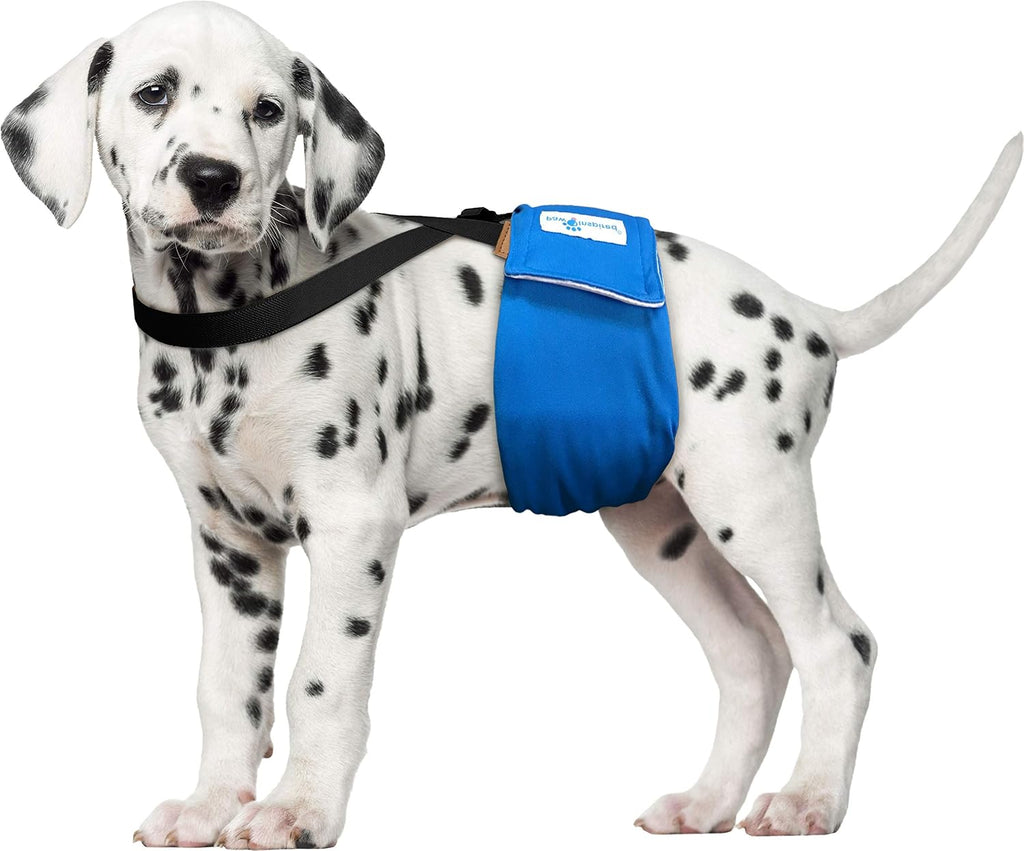 Dog Diaper Suspenders with Velcro Fasteners | Stretchy Adjustable Suspenders for Female and Male Disposable and Washable Diapers | Fits Small, Medium and Large Size Pets (XS/S, Black)
