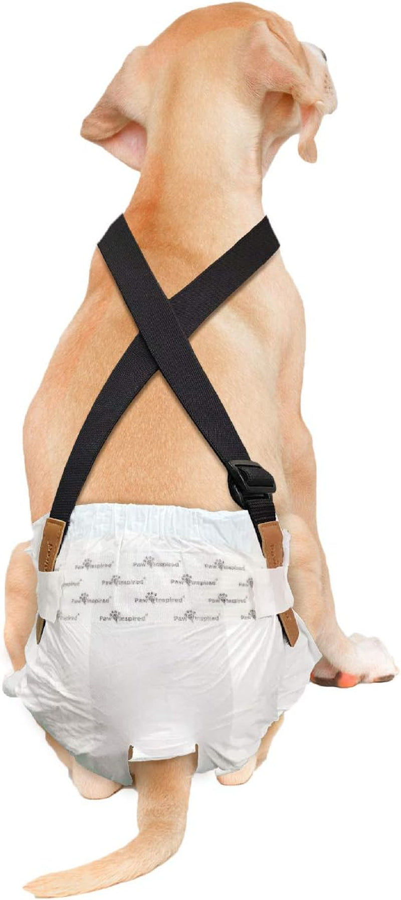 Dog Diaper Suspenders with Velcro Fasteners | Stretchy Adjustable Suspenders for Female and Male Disposable and Washable Diapers | Fits Small, Medium and Large Size Pets (S/M, Black)